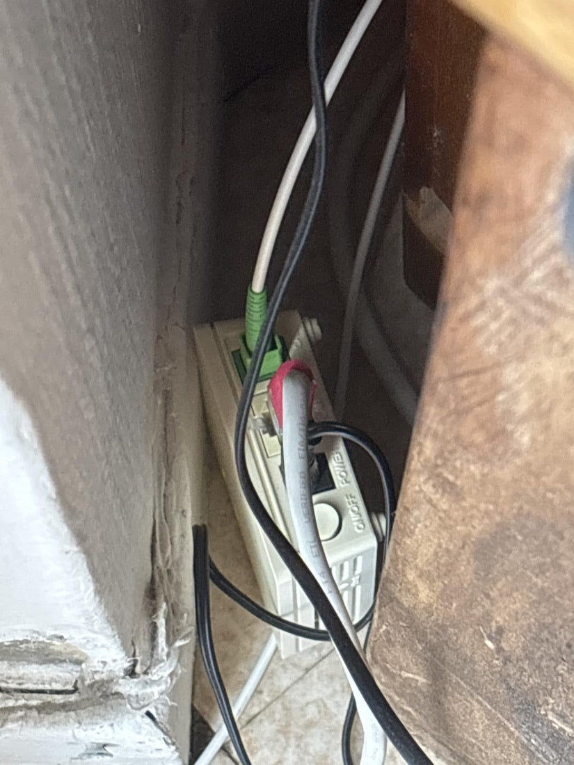 Câble fibre SpeedOptic à connecteur vert branché sur la prise fibre murale